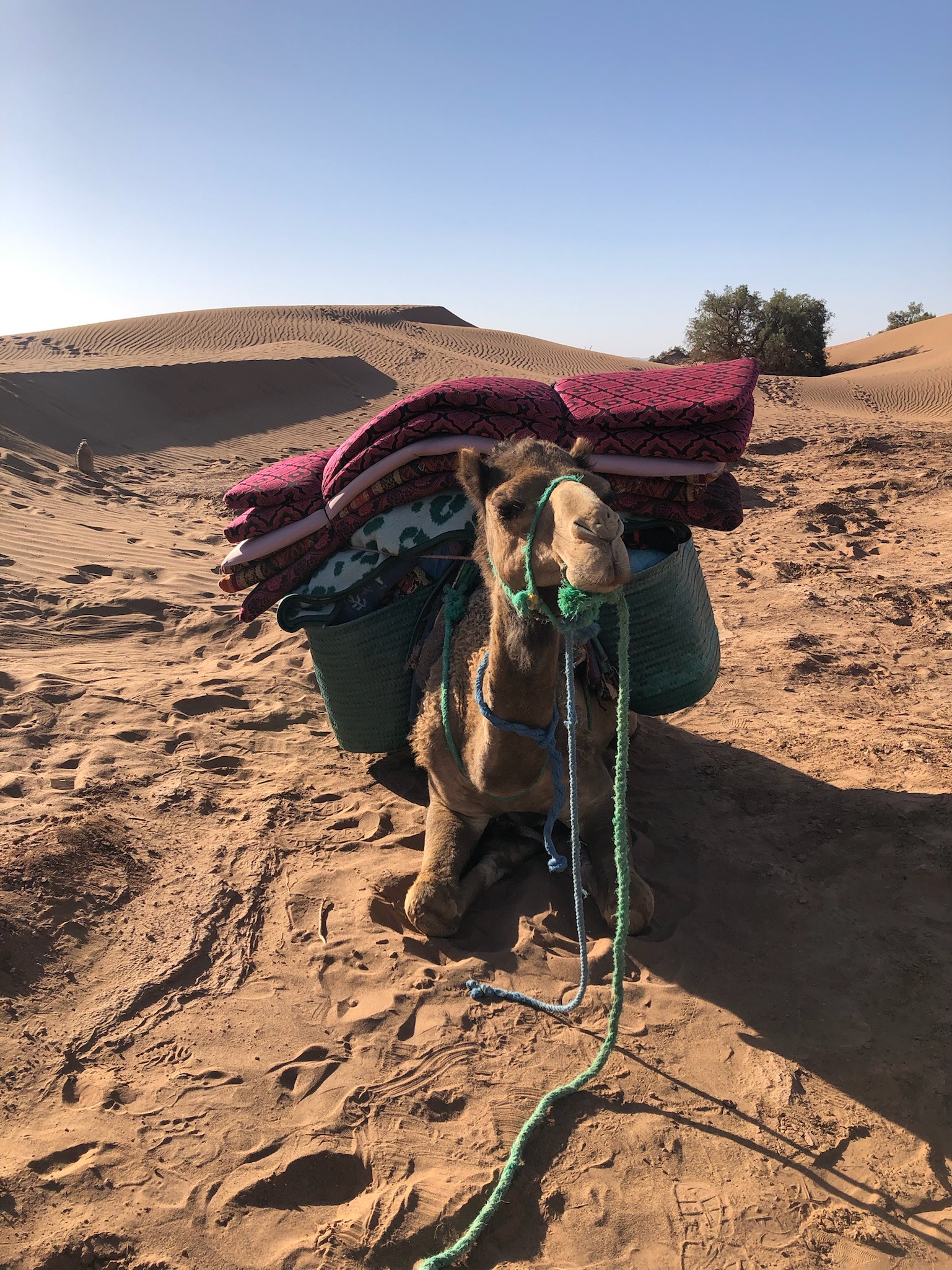 désert Maroc trek retour sur soi
