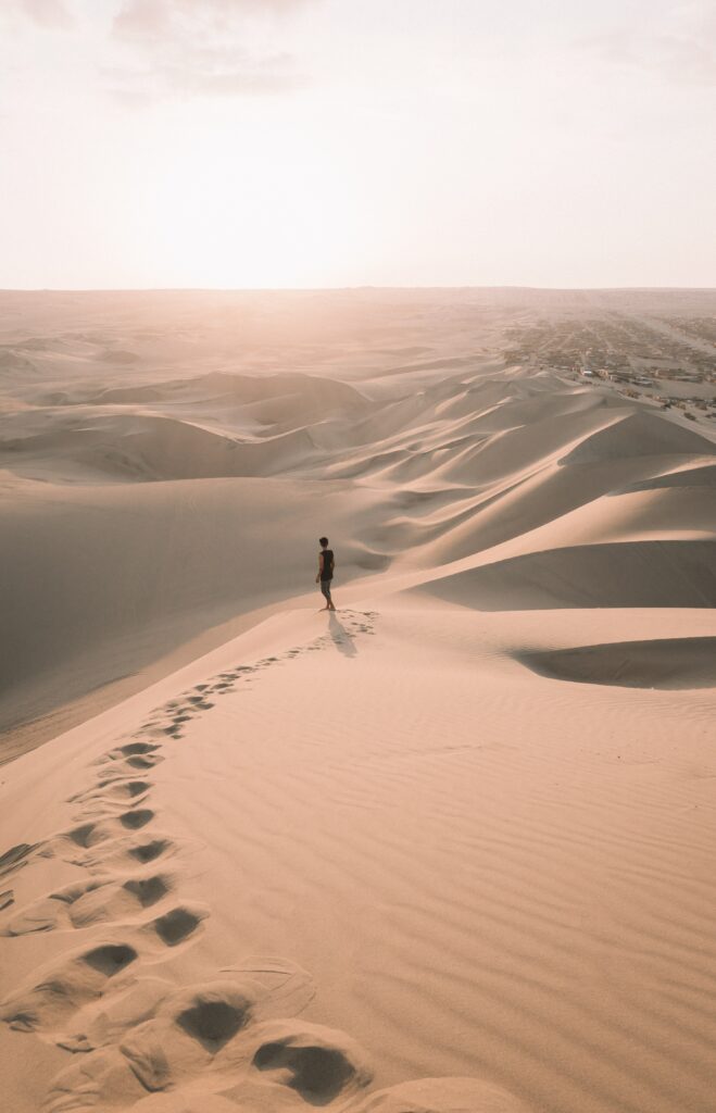 Retour à soi dans le désert