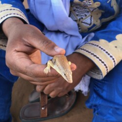 désert Maroc trek retour sur soi